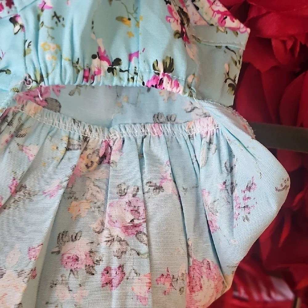 Floral Dog Dress with Blue Bow Size Xsmall